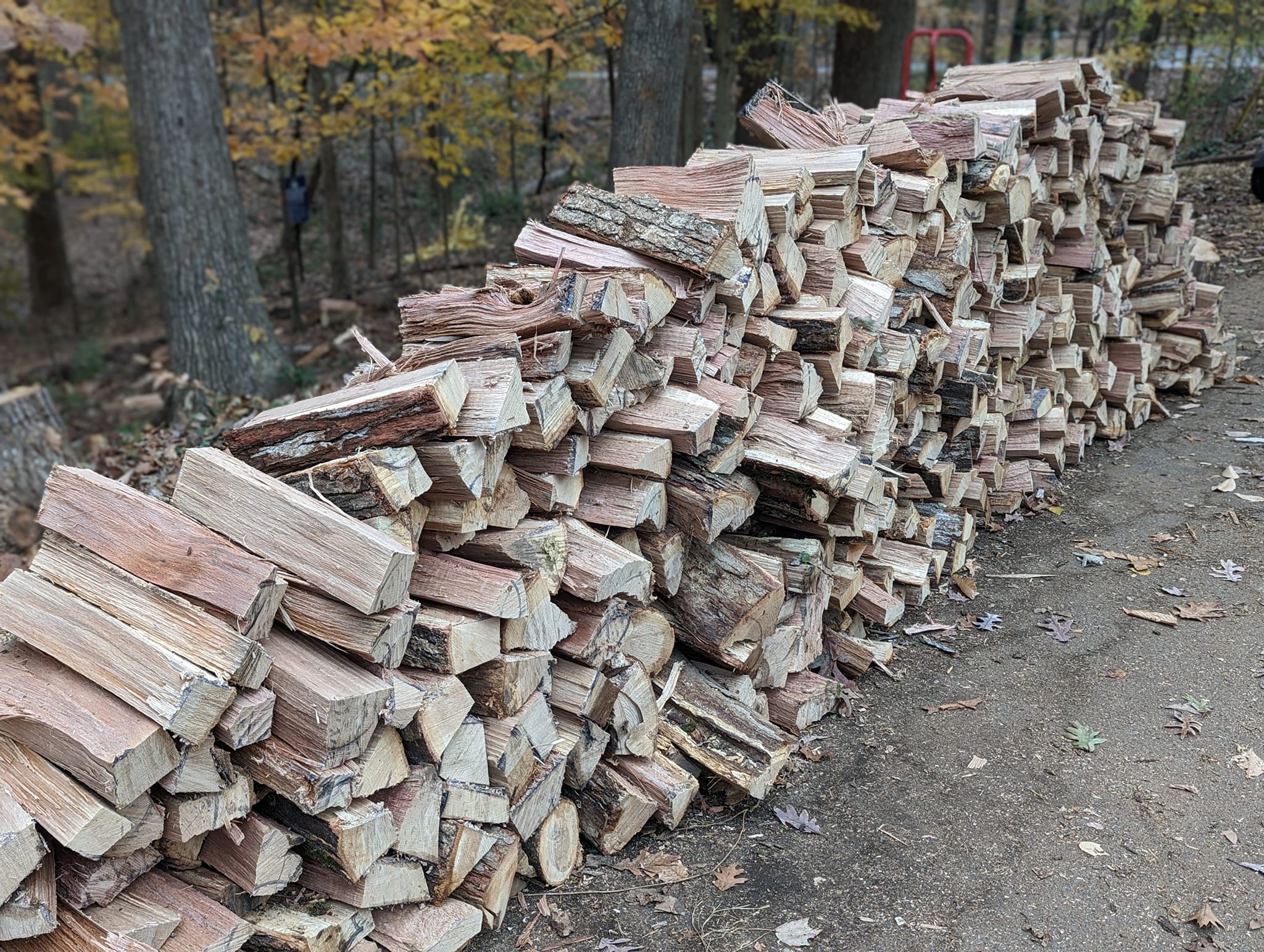 Silver Lake Health – February 2020