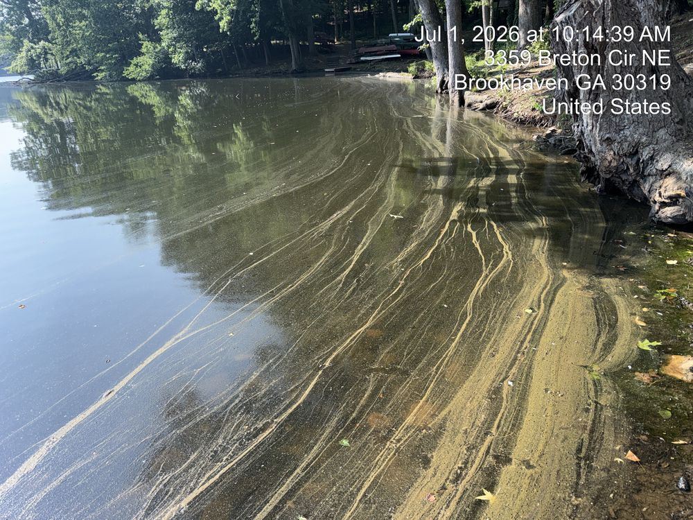 Silver Lake Inspection Report -- Q2 2026