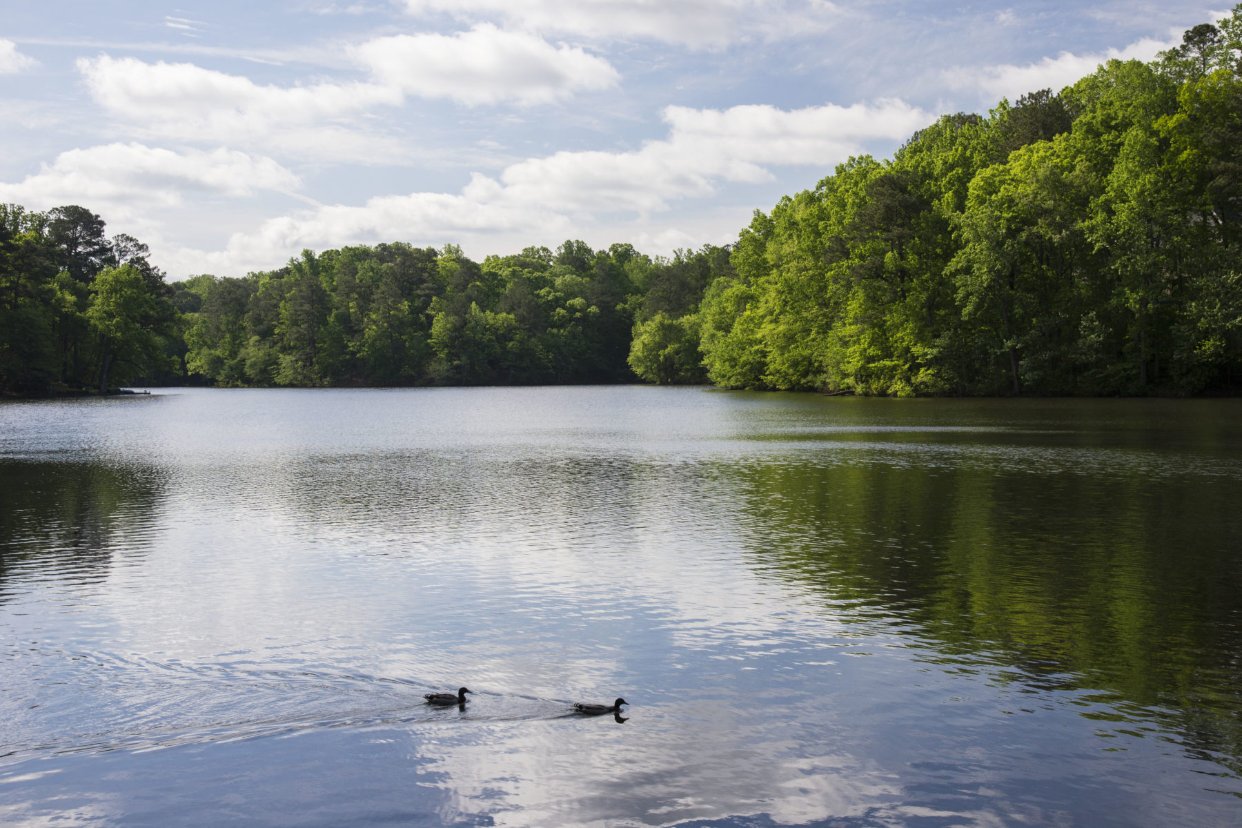 dsc0981 Silver Lake Civic Association