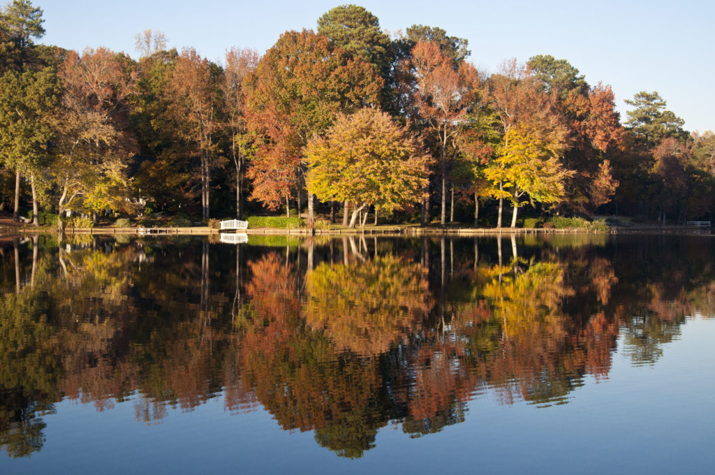 dsc3298 Silver Lake Civic Association