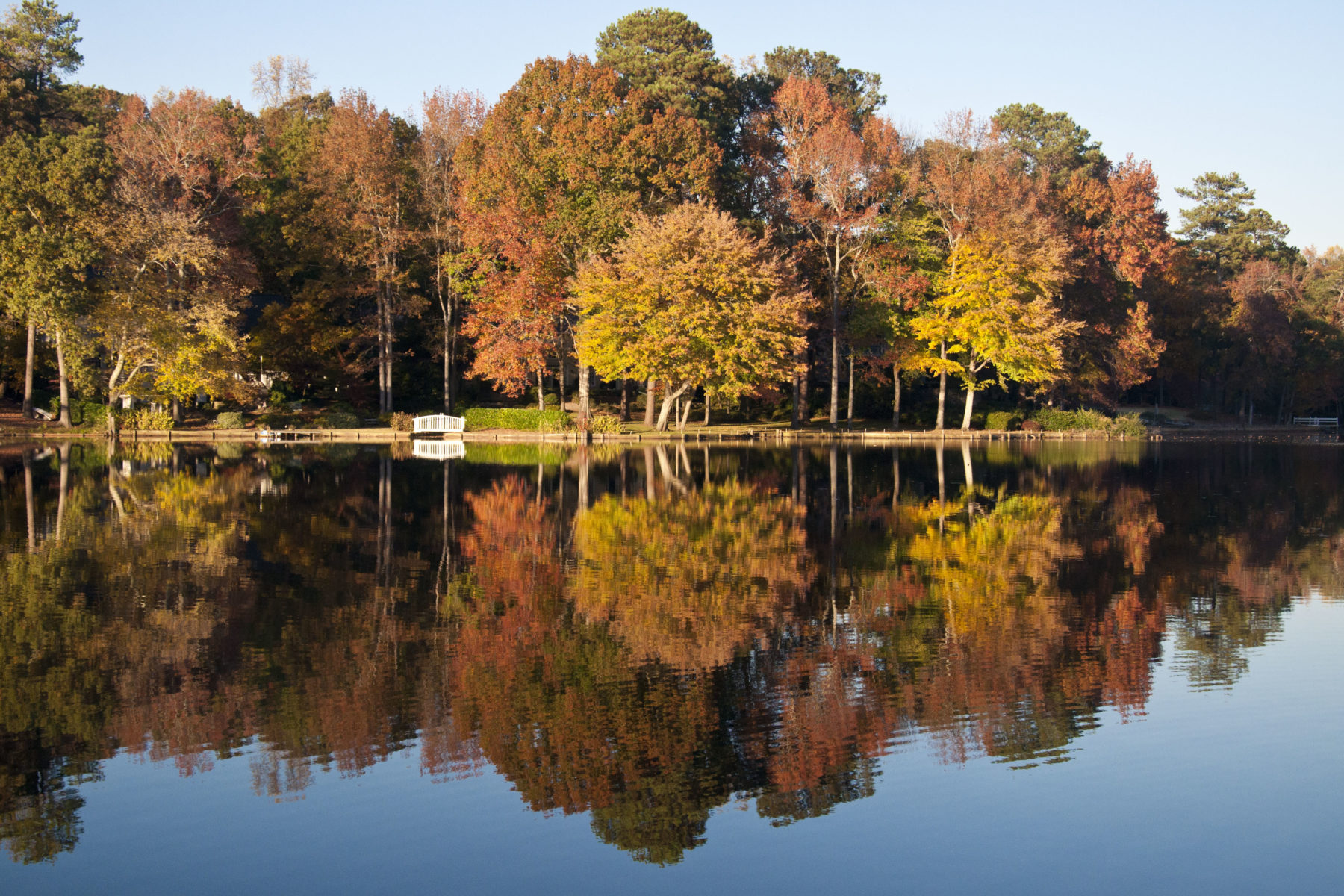 dsc3298 Silver Lake Civic Association